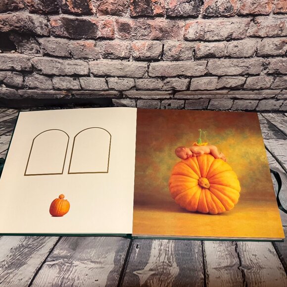Vintage 1997 Anne Geddes Photograph Album 36 Photo 24 Page Book Babies Hardcover - Picture 4 of 8